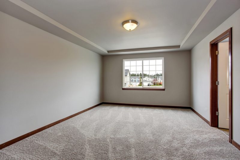 Carpet Image